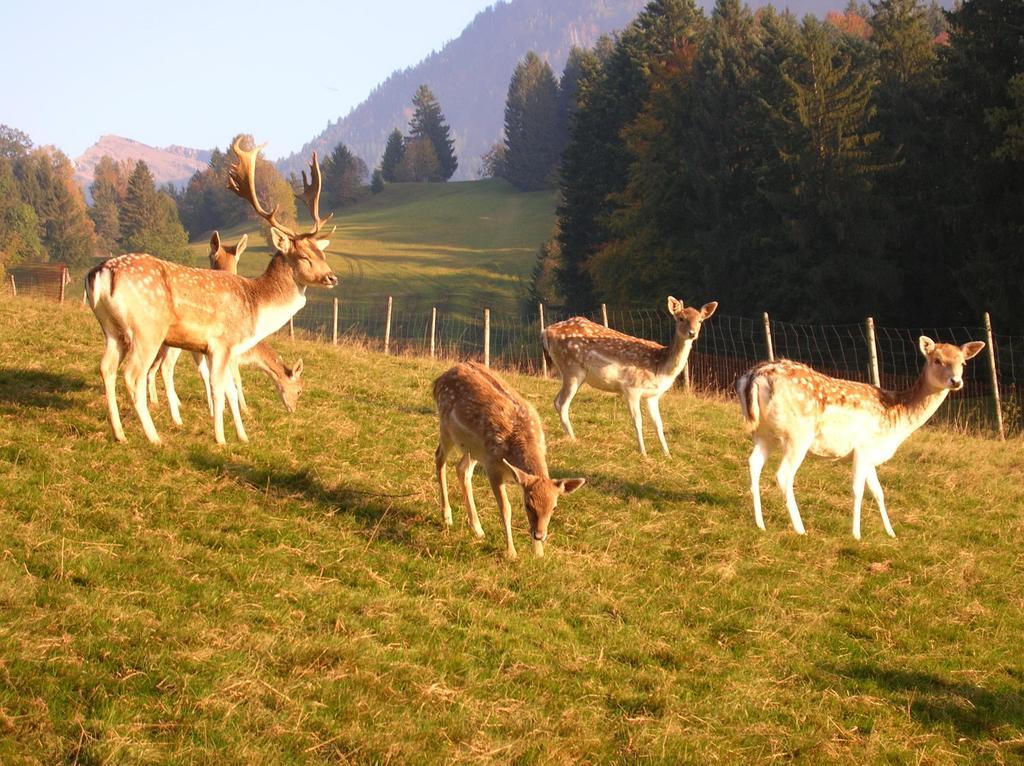 エック Ferienbauernhof Liebschickヴィラ エクステリア 写真