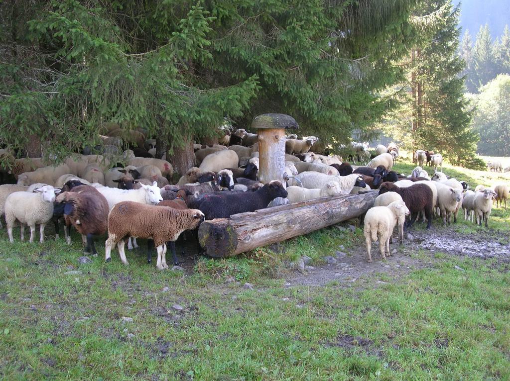 エック Ferienbauernhof Liebschickヴィラ エクステリア 写真